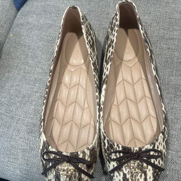 Coach beautiful pointy flat - Picture 6 of 6